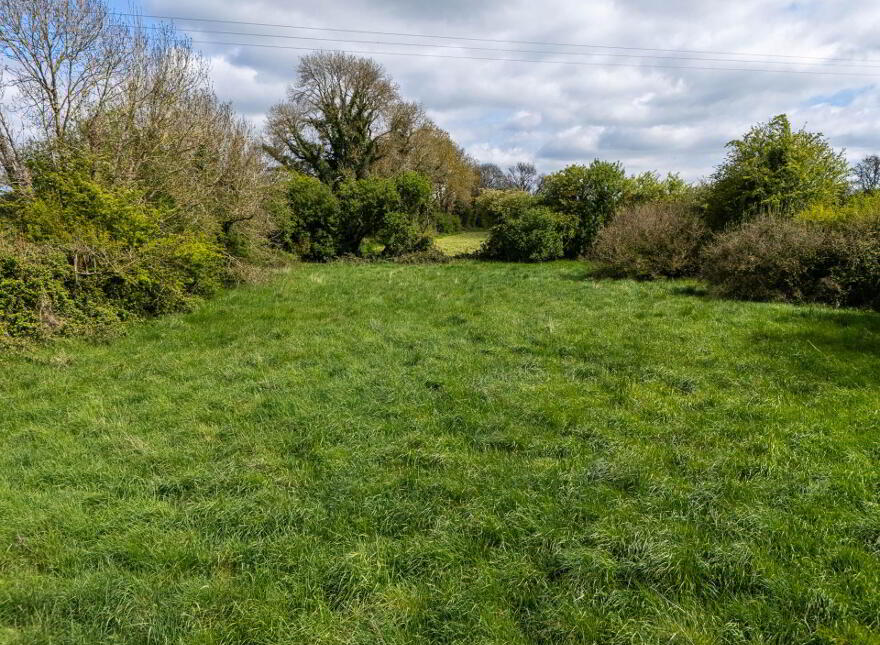 Creevebeg, Mount Temple, N37XN27