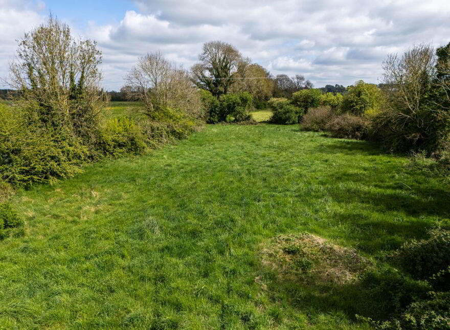 Creevebeg, Mount Temple, N37XN27