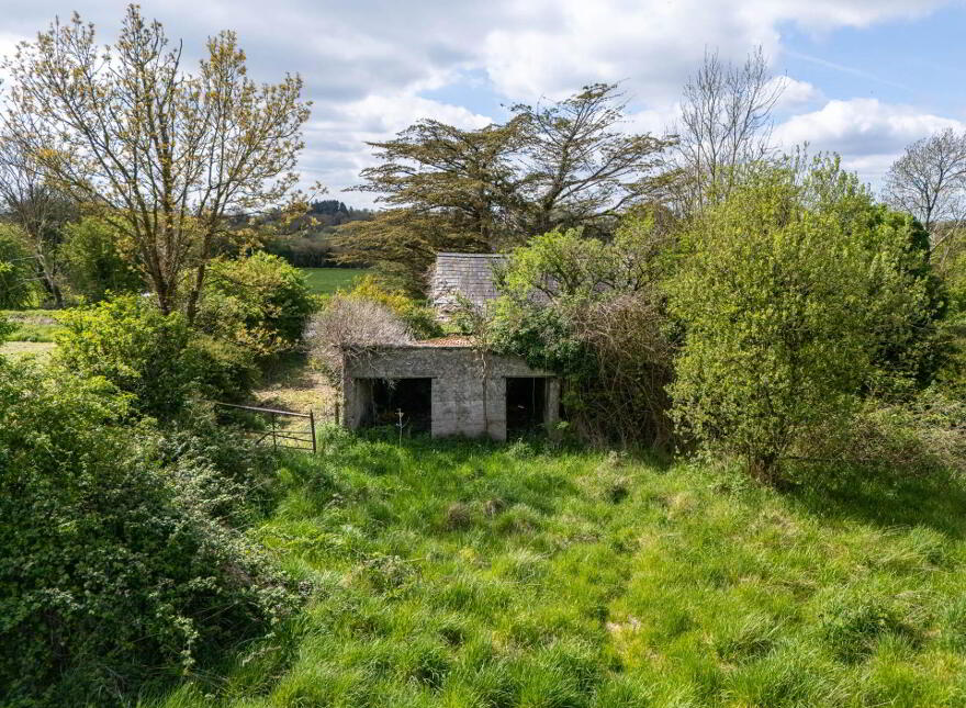 Creevebeg, Mount Temple, N37XN27