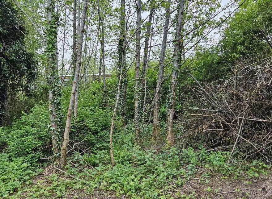 Derelict House, Tully Mountain, Rathmelton