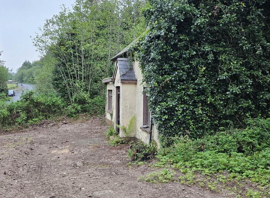 Derelict House, Tully Mountain, Rathmelton