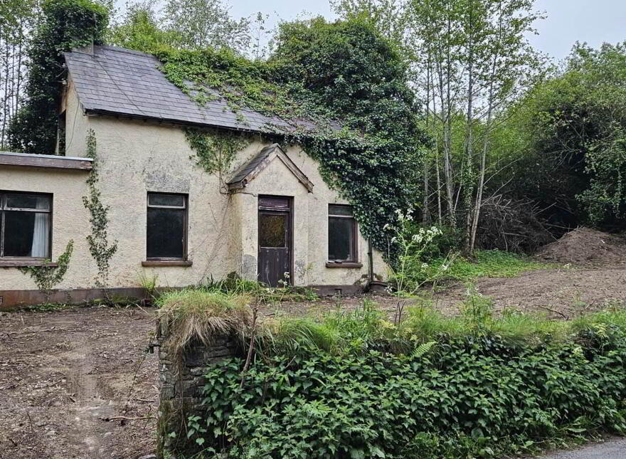 Derelict House, Tully Mountain, Rathmelton