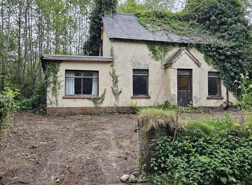 Derelict House, Tully Mountain, Rathmelton