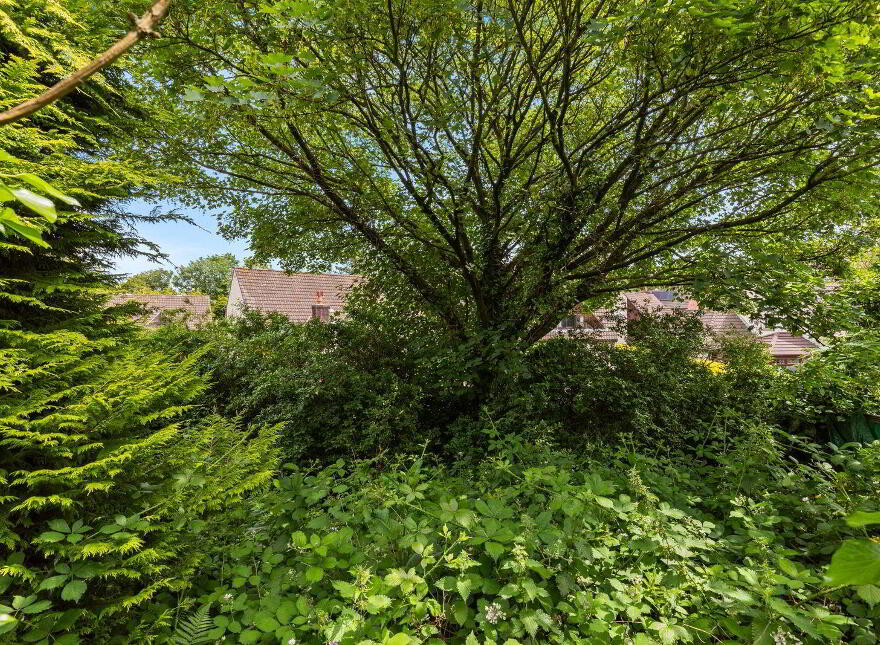 13 Ashdale Crescent, Bangor, BT20 4XL