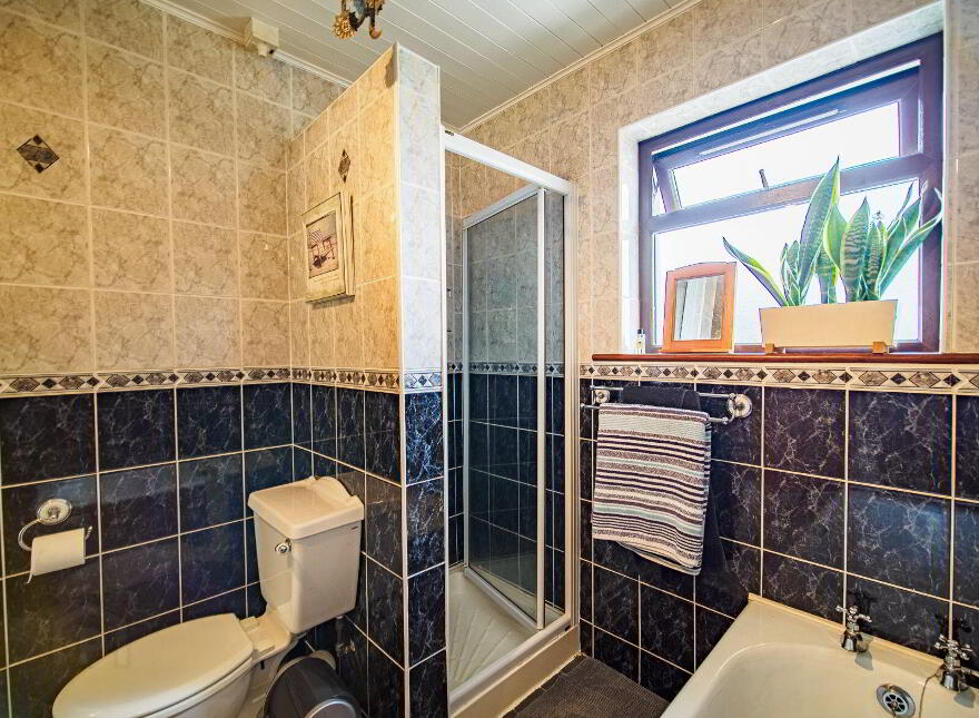 Ballyvocogue, Cappagh, V94X0HY