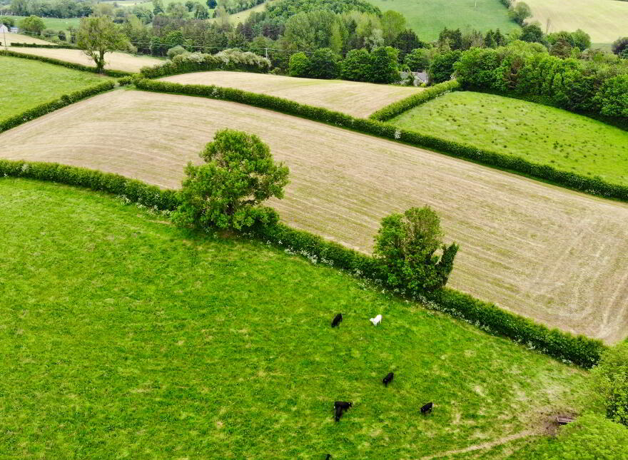 17.16 Acres @ Ballynany Road, Ballygawley, BT70 2LZ