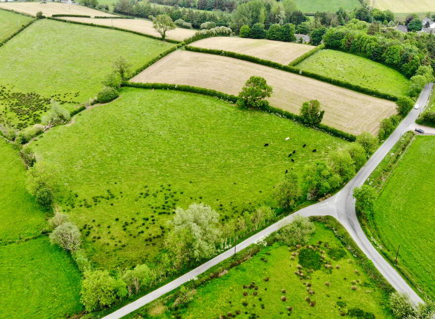 21.90 Acres @ Ballynany Road, Ballygawley, BT70 2LZ