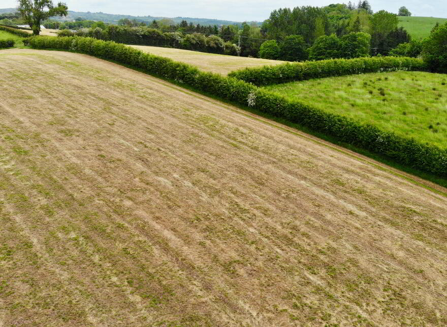 21.90 Acres @ Ballynany Road, Ballygawley, BT70 2LZ