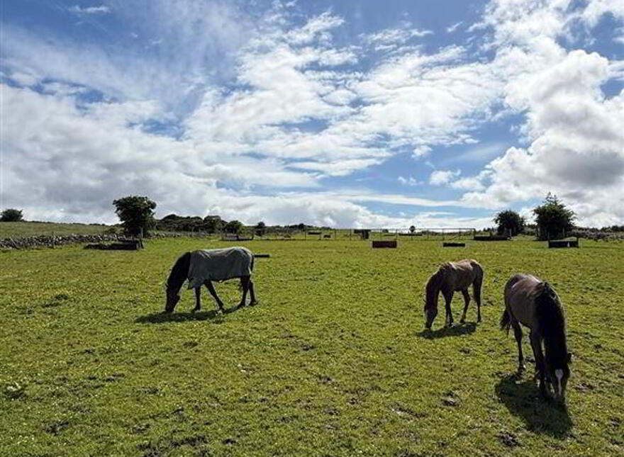 Currinah, Carracastle, Ballaghaderreen, F45E403