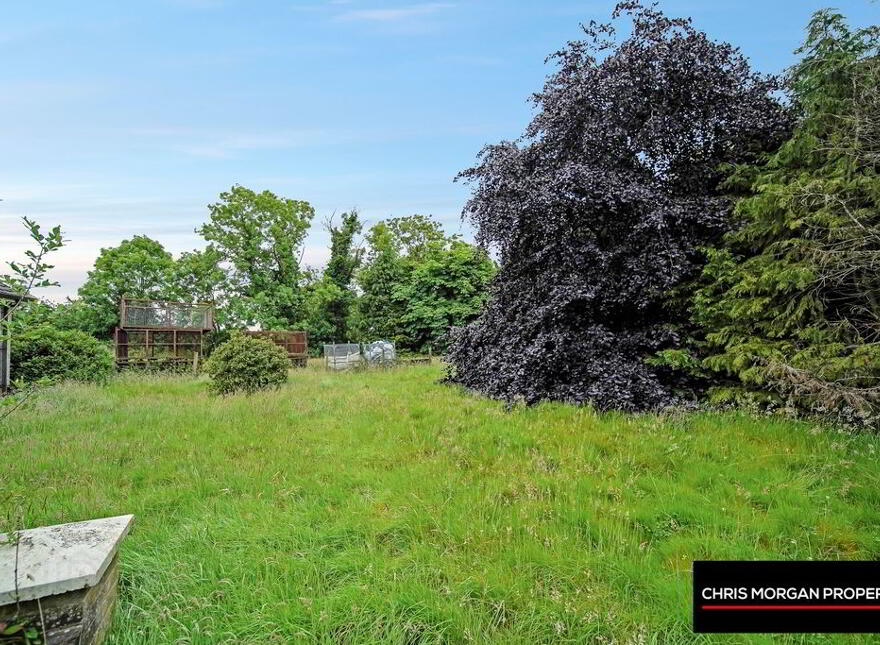 48 Corr Road, Corr, Dungannon, BT71 6HH
