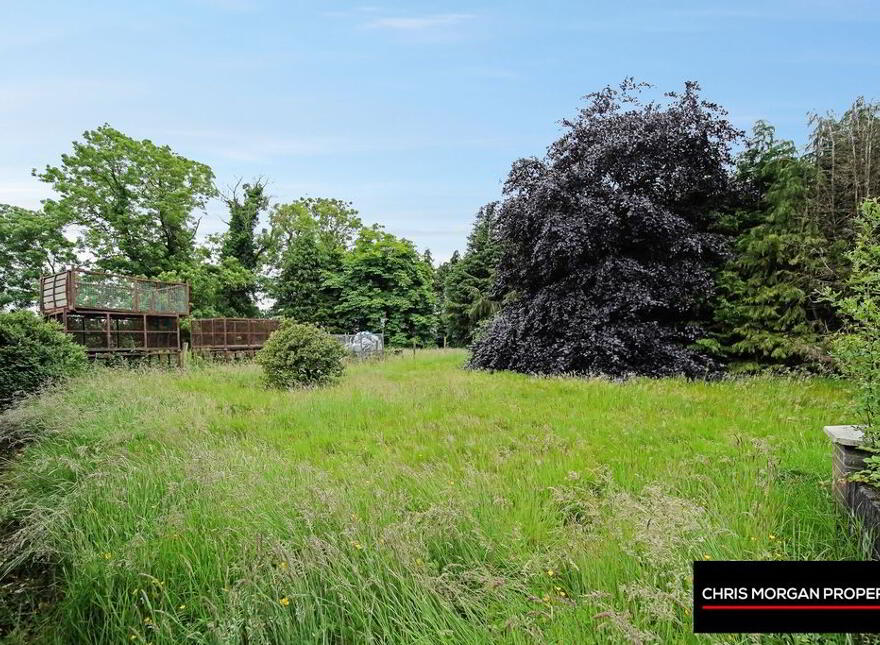 48 Corr Road, Corr, Dungannon, BT71 6HH