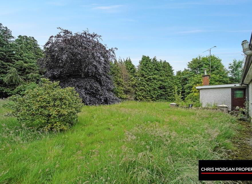 48 Corr Road, Corr, Dungannon, BT71 6HH