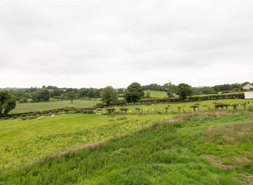 76 Magheraknock Road, Ballynahinch, BT24 8TJ