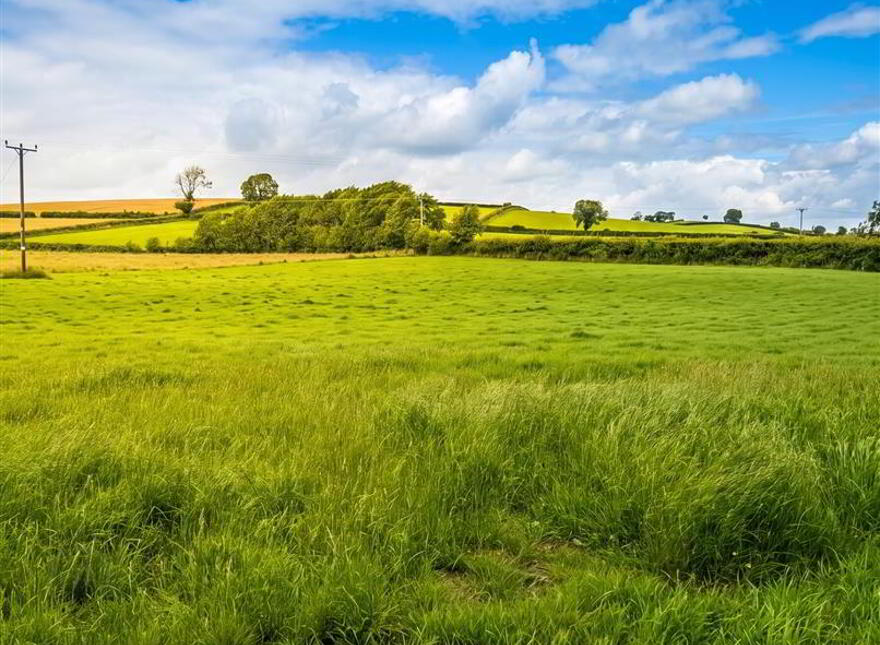 Land, Glasswater Road, Crossgar, BT30 9DN