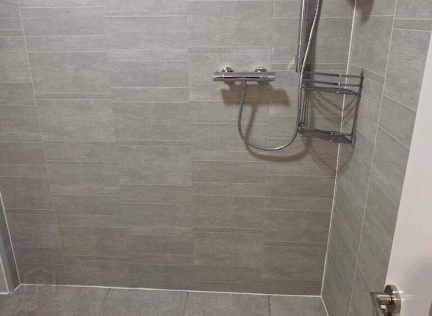 Apt 3, Lower William Street, Athy, R14WE10