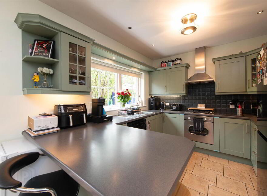 16 Demesne Link, Downpatrick, BT30 6UW