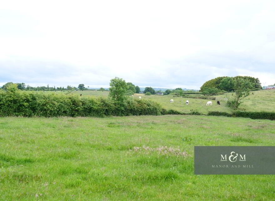 29 Cabragh Road, Tandragee, BT62 2HL