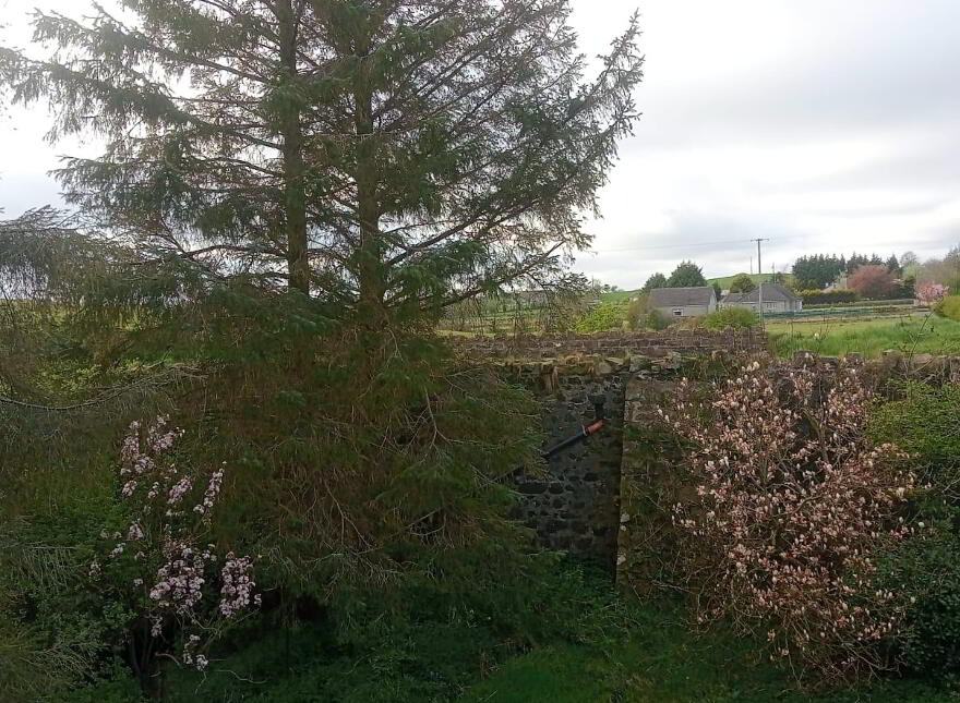 69 Pharis Road, Ballymoney, BT53 8JU