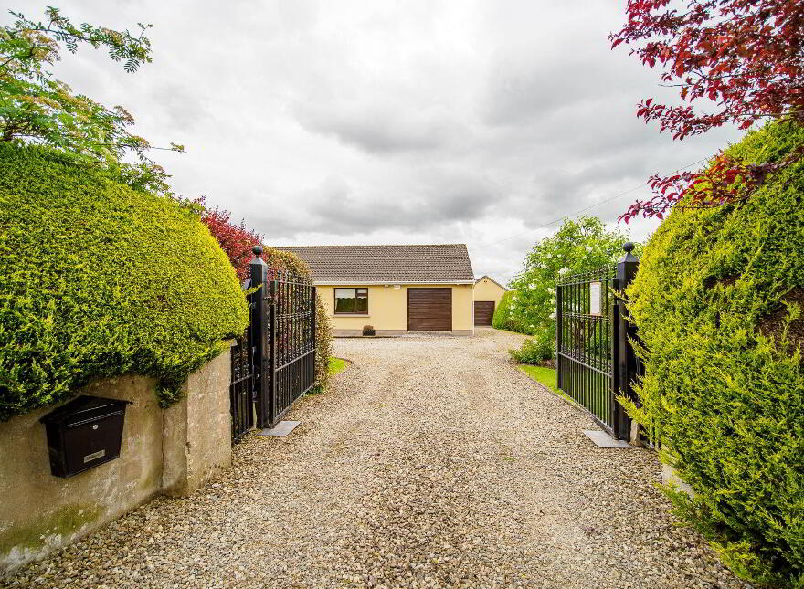 Ballyvocogue, Askeaton, V94X0HY