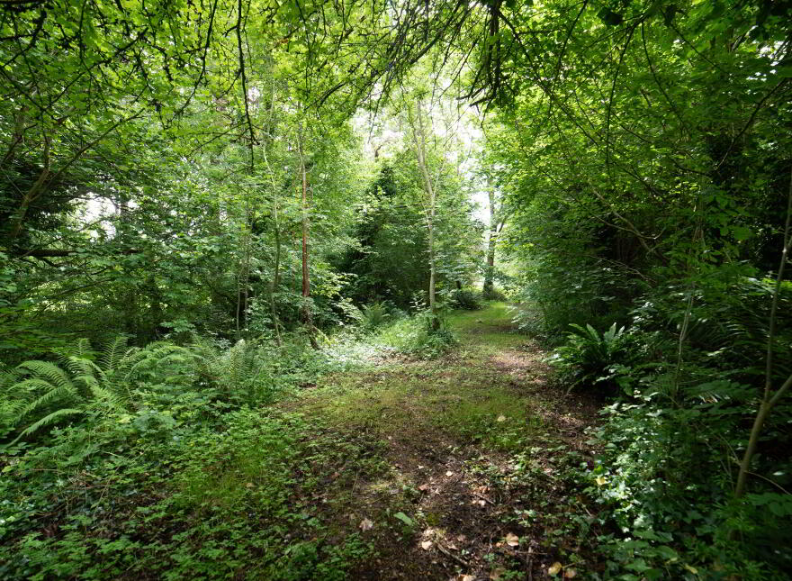 Ballyandrew, Doneraile, P51R9P4