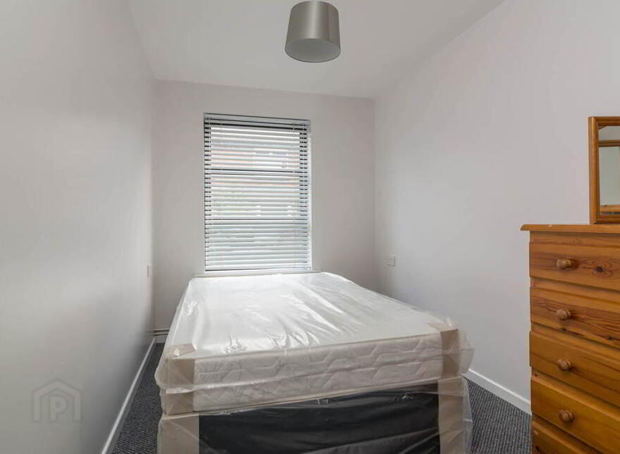 Apt 1, 43 Sandhurst Drive, Belfast, BT9 5AY