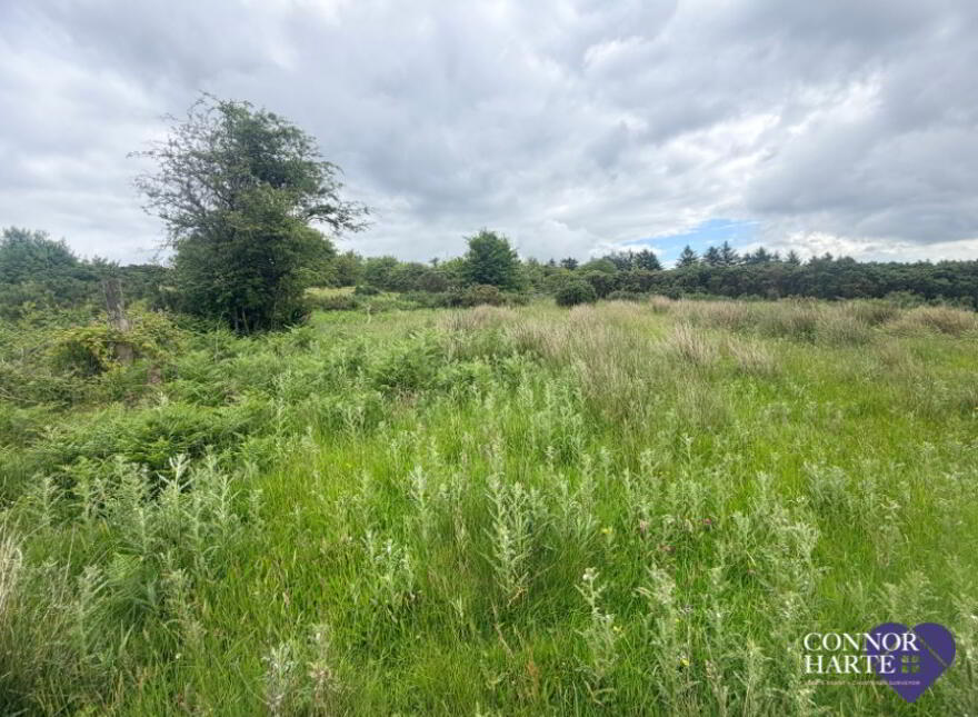89c Feegarran Road, Cookstown, BT80 9TA