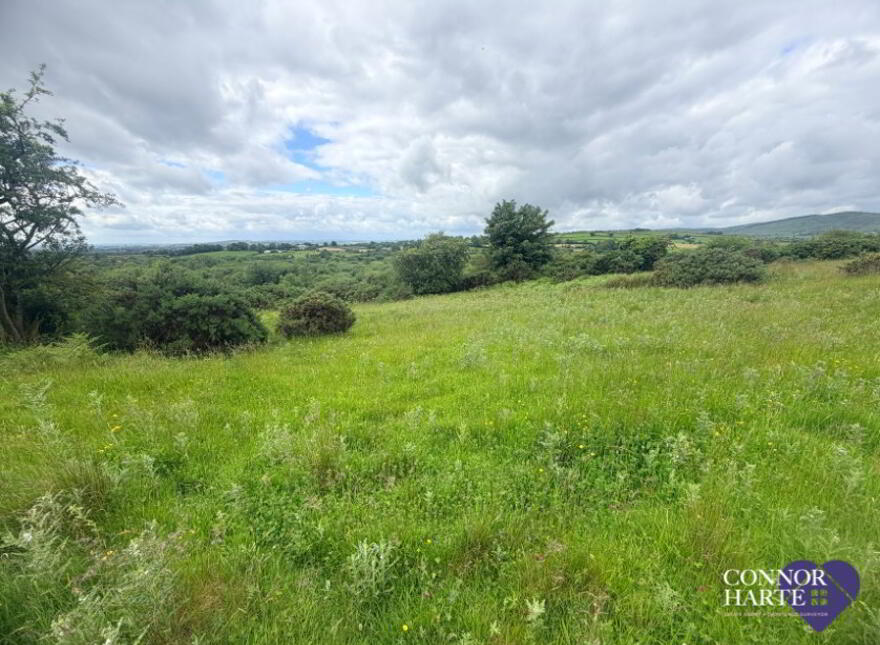 89c Feegarran Road, Cookstown, BT80 9TA