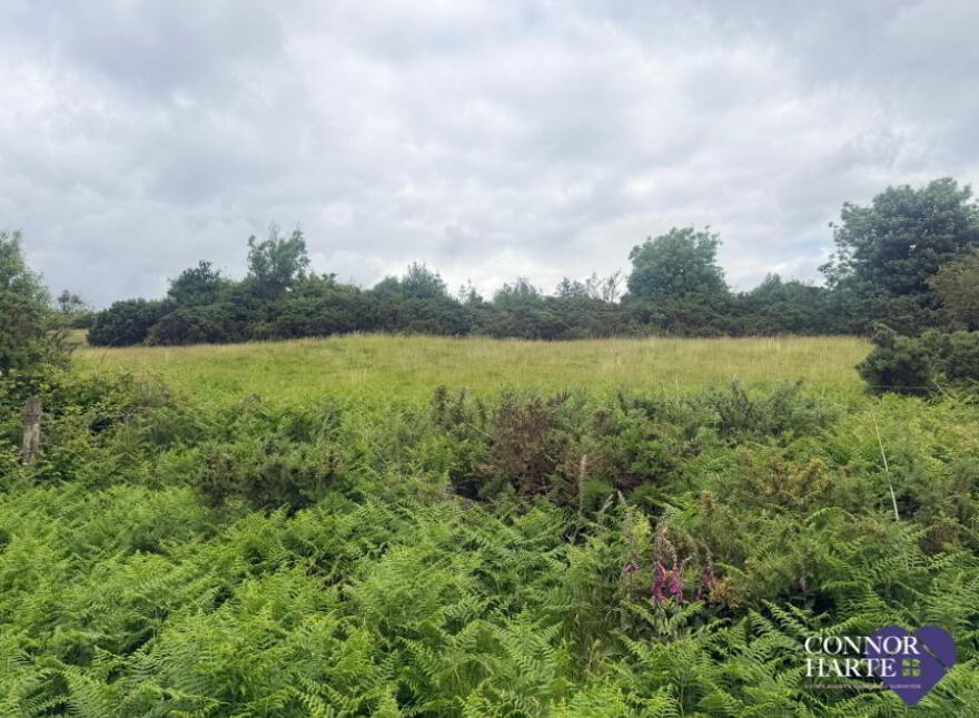 89c Feegarran Road, Cookstown, BT80 9TA