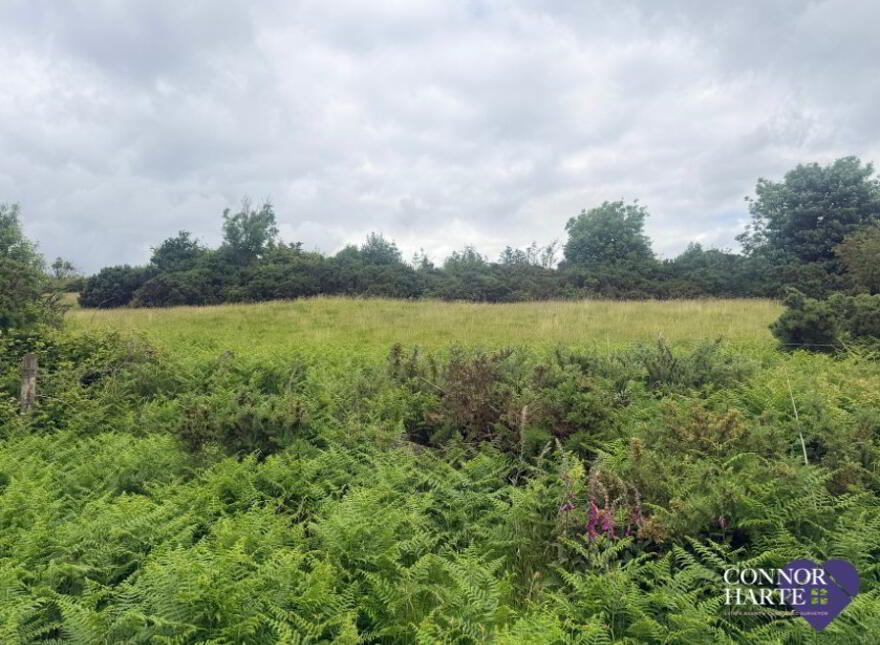 89c Feegarran Road, Cookstown, BT80 9TA