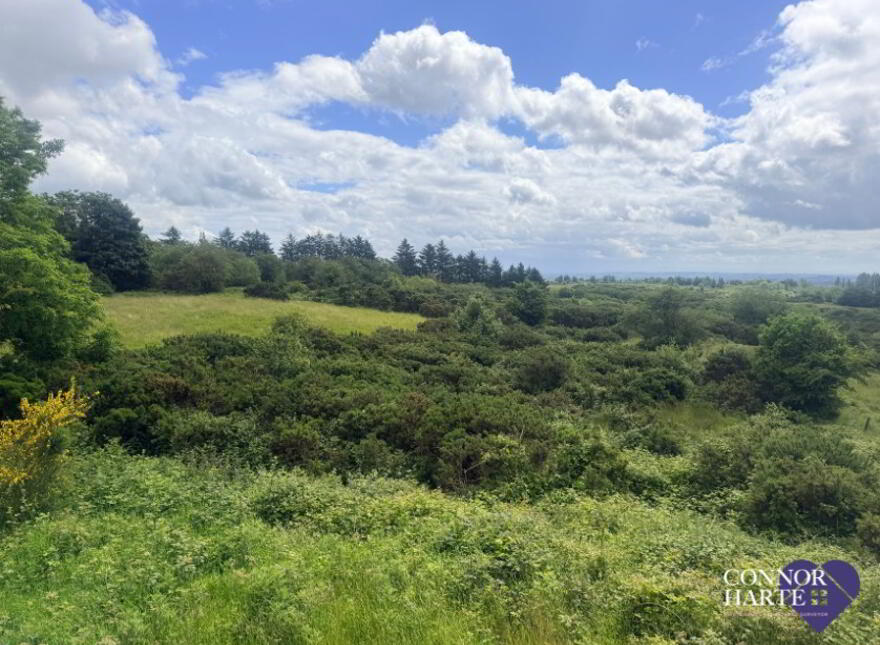 89c Feegarran Road, Cookstown, BT80 9TA