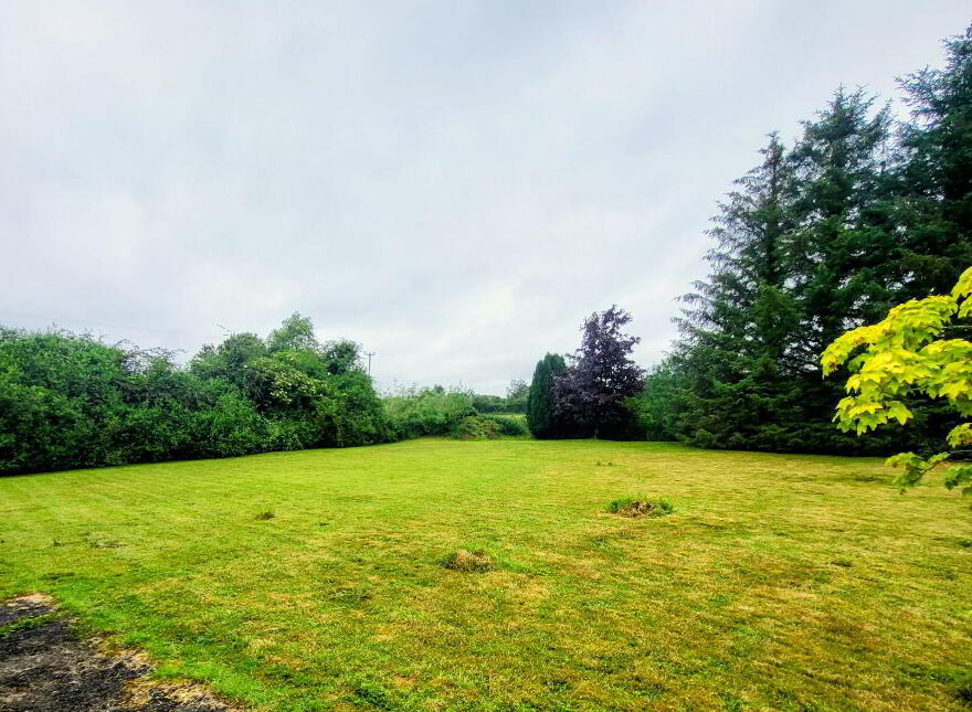 Ballagh, Newtownforbes, N39NH29