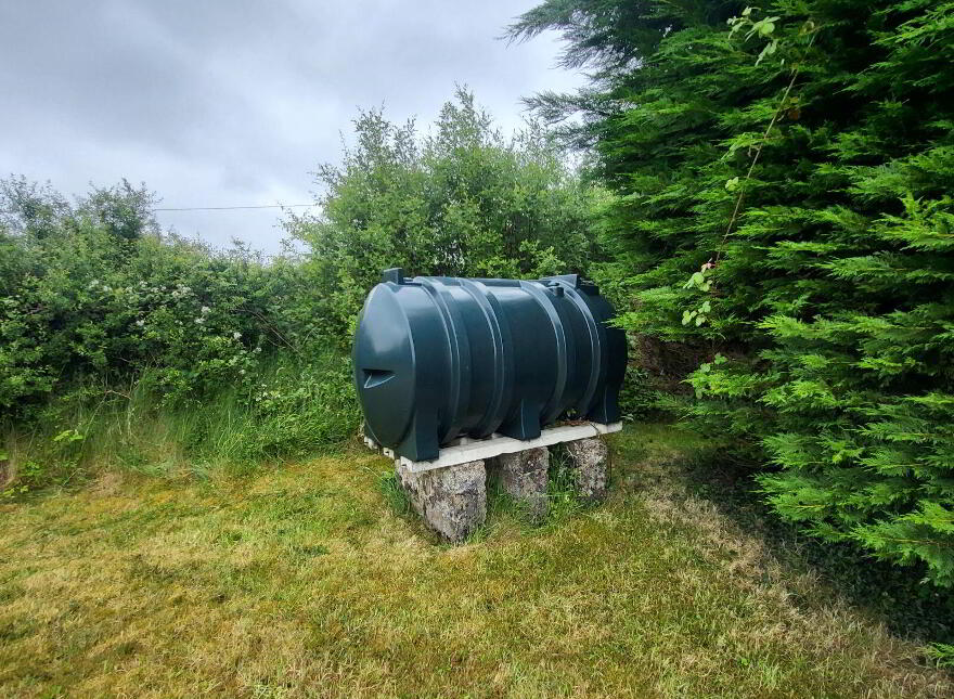Ballagh, Newtownforbes, N39NH29
