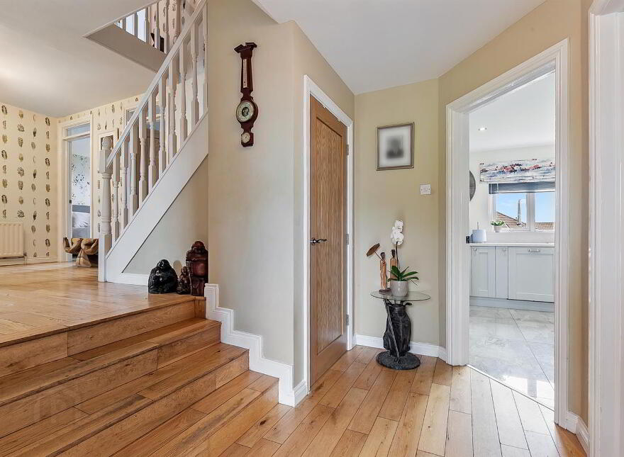 217 The Woods, Larne, BT40 1BD