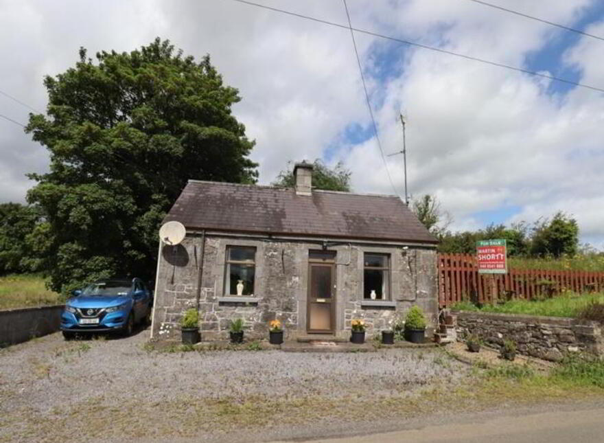 Ballinrink, Oldcastle, A82WF38 photo