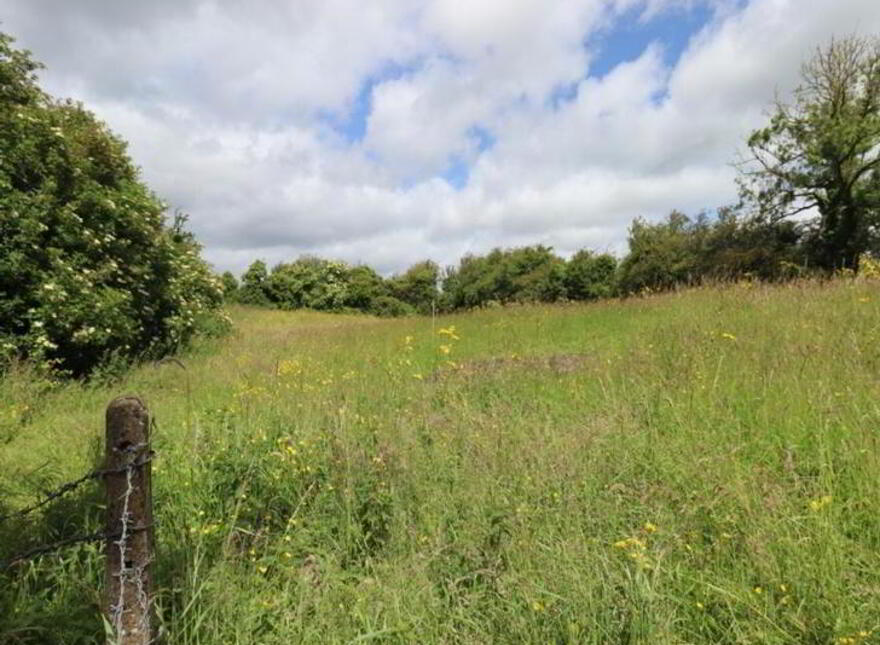 Ballinrink, Oldcastle, A82WF38