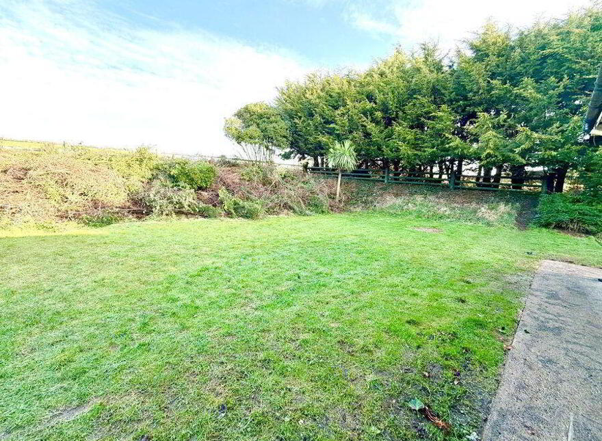 Carnes West, Bellewstown, Bellewstown, A92X973