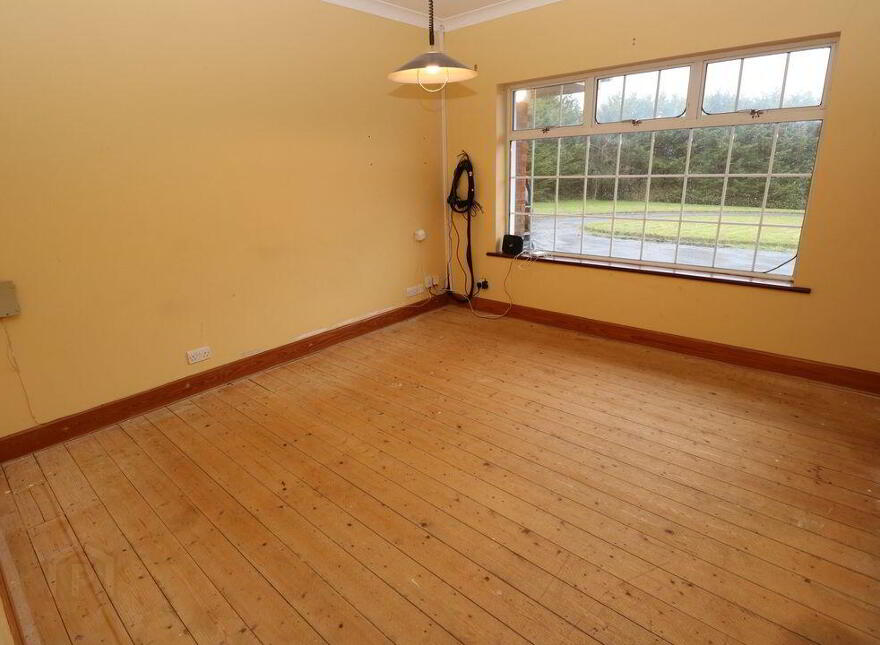 Carnes West, Bellewstown, Bellewstown, A92X973