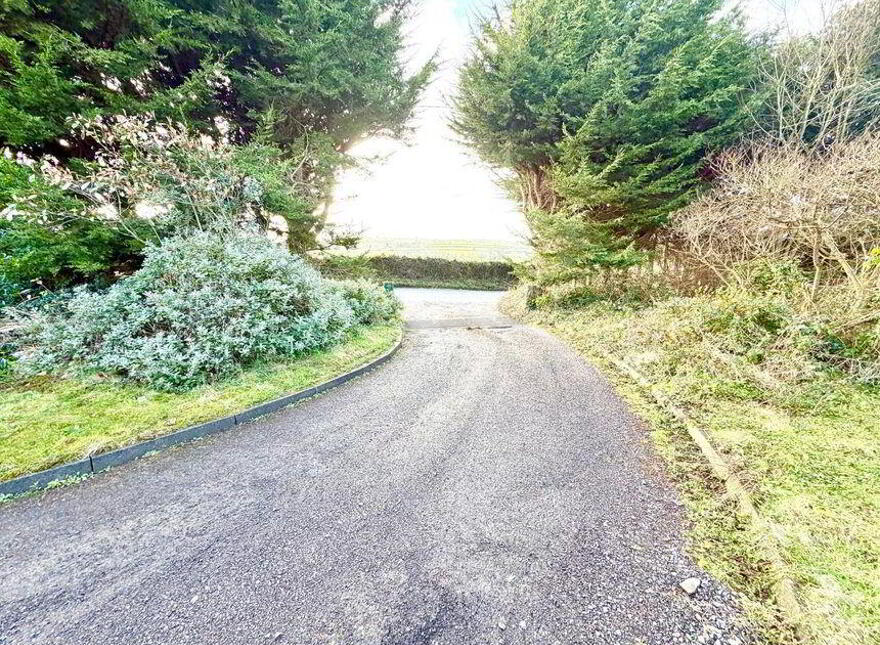 Carnes West, Bellewstown, Bellewstown, A92X973