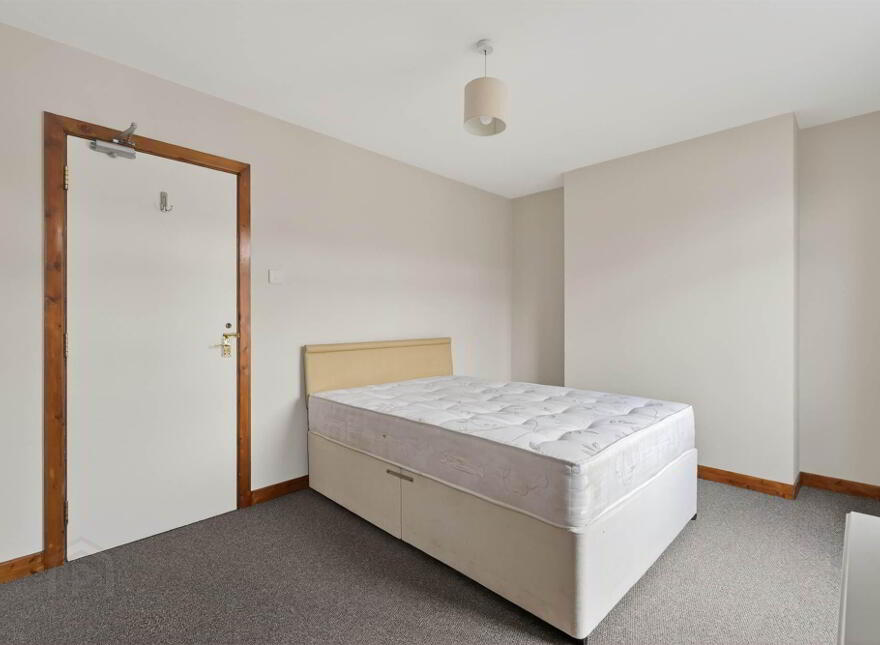 77 Lower Windsor Avenue, Belfast, BT9 7DX