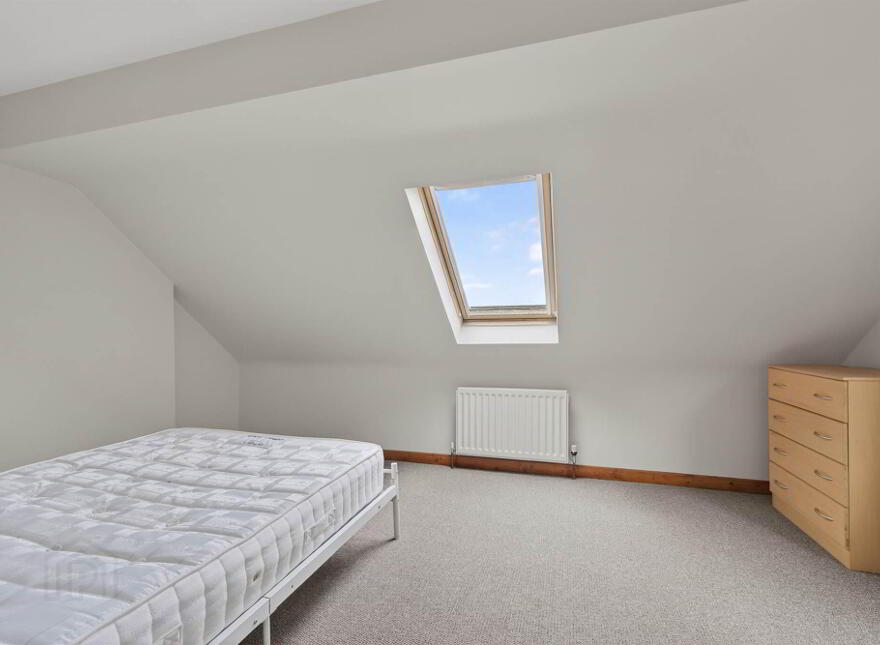 77 Lower Windsor Avenue, Belfast, BT9 7DX