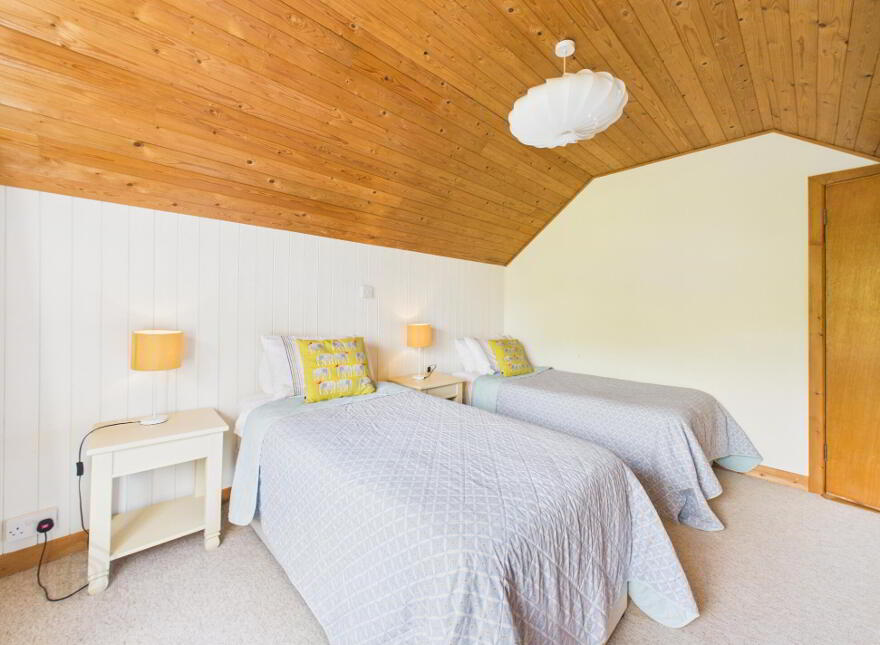Ballinkina, Woodstown, X91HT62
