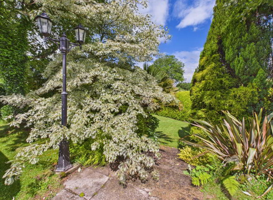 Ballinkina, Woodstown, X91HT62