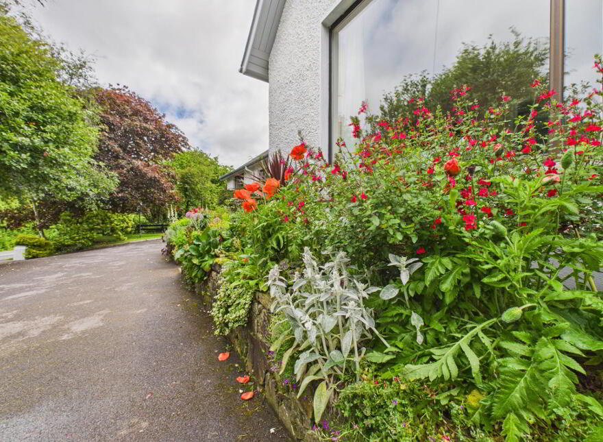Ballinkina, Woodstown, X91HT62