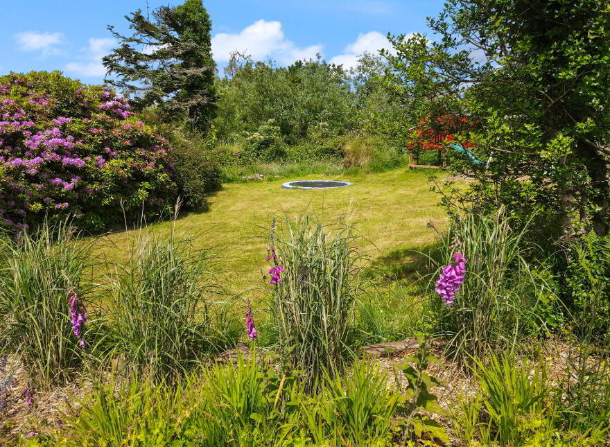 Balloor, Kiltimagh, F12XD70