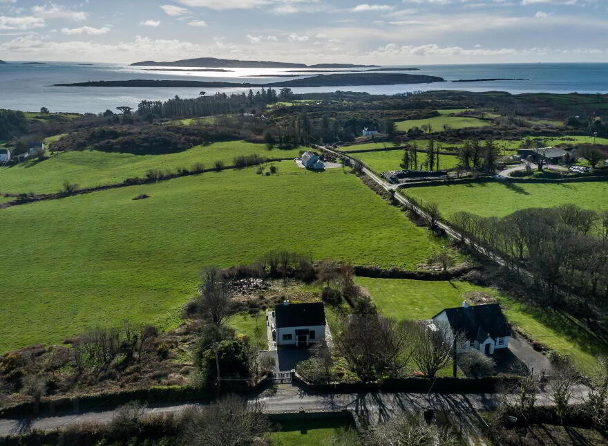 The Brambles, Derreennatra, Rossbrin, Rossbrin, P81WK52