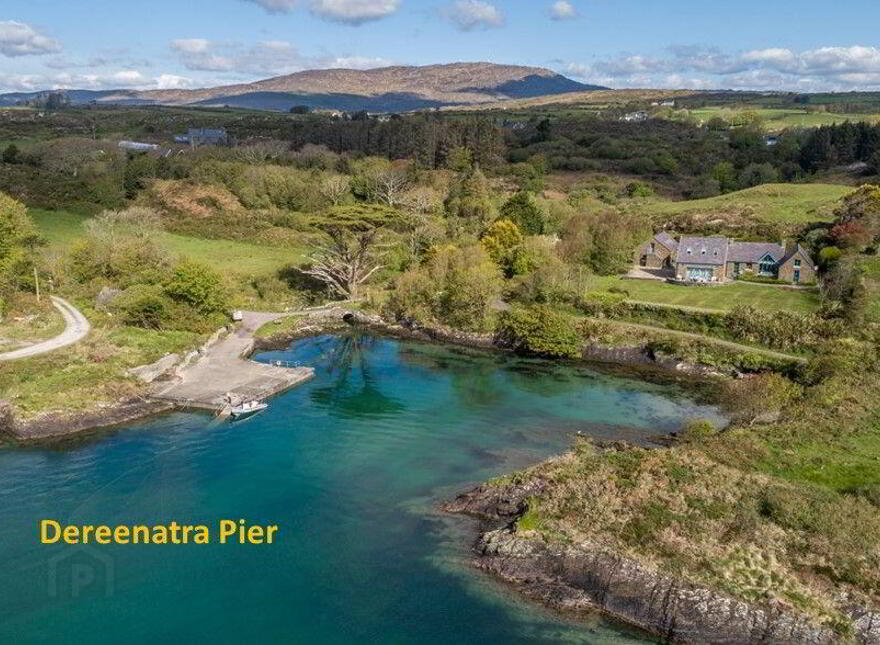 The Brambles, Derreennatra, Rossbrin, Rossbrin, P81WK52