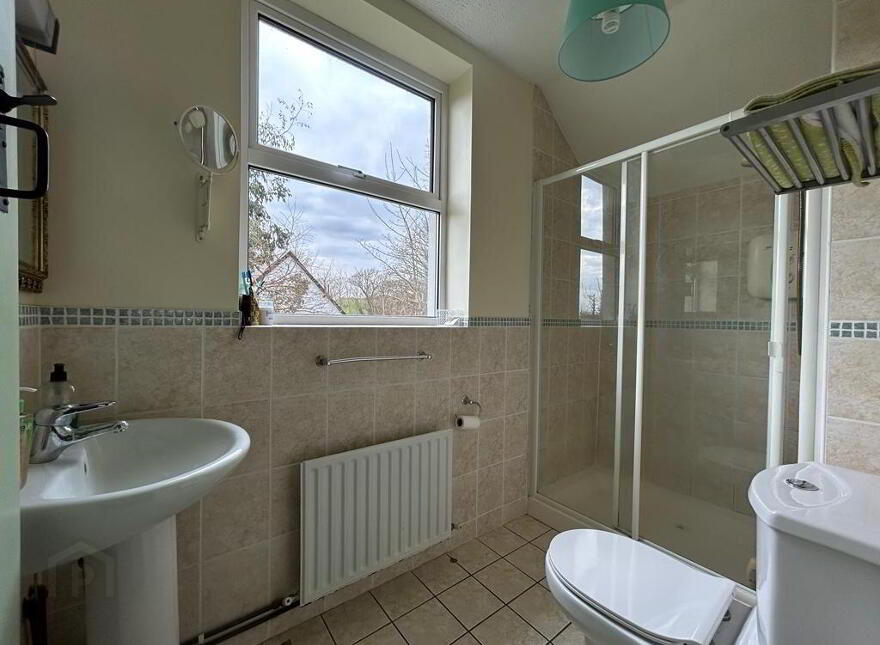 The Brambles, Derreennatra, Rossbrin, Rossbrin, P81WK52