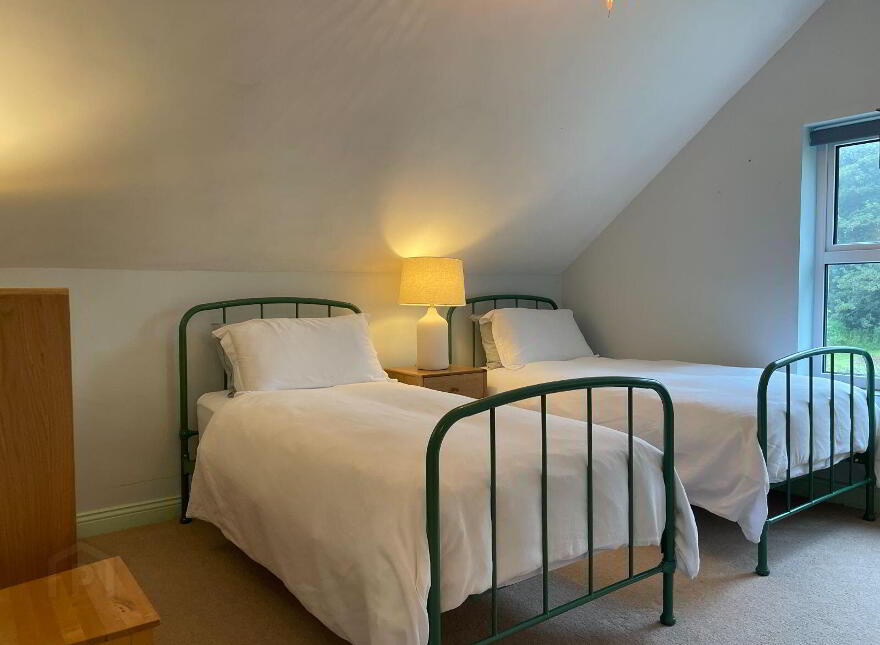 The Brambles, Derreennatra, Rossbrin, Rossbrin, P81WK52