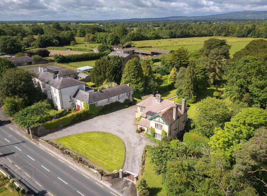 Green Rushes, Mountmellick, R32NN80