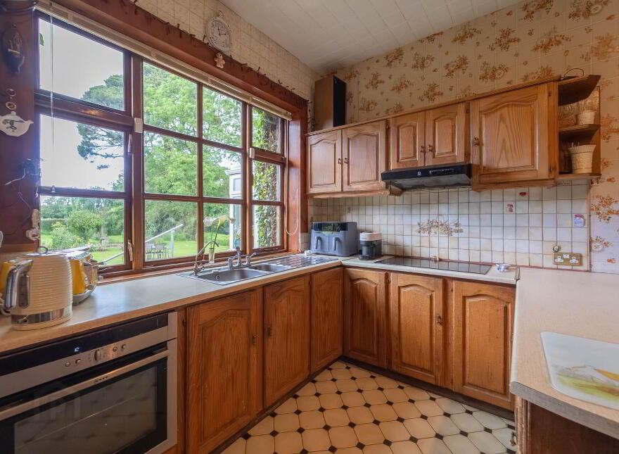 Green Rushes, Mountmellick, R32NN80